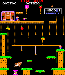 Donkey Kong Junior
