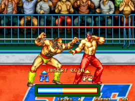 3 Count Bout / Fire Suplex