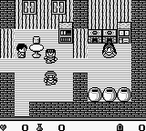 Dragon Slayer - Nemuri no Oukan