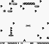 Millipede & Centipede