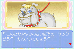 Nakayoshi Pet Advance Series 4 - Kawaii Koinu Kogatainuhen