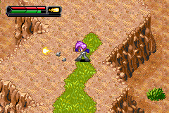 Dragon Ball Z - The Legacy of Goku II International