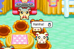 Tottoko Hamutaro Hamuhamu Sports