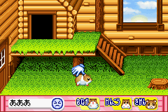Hamster Paradise Advance