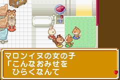 Sylvania Family - Fashion Designer Ninaritai!