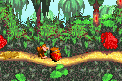 Donkey Kong Country