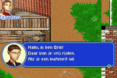 Paard & Pony - Paard in Galop