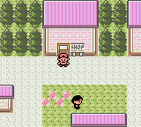 Pocket Monsters Geum