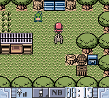 Pokemon Jade Version