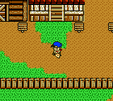 Bokujou Monogatari GB3 - Boy Meets Girl