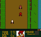 Woody Woodpecker no Go! Go! Racing