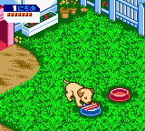 Nakayoshi Pet Series 3 - Kawaii Koinu