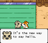 Hamtaro - Ham-Hams Unite!