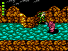 Battletoads