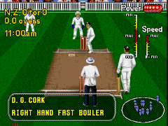 Brian Lara Cricket 96