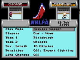 NHLPA Hockey 93