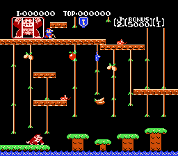 Donkey Kong Jr.