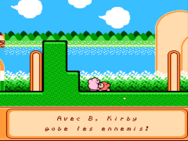 Kirby's Adventure