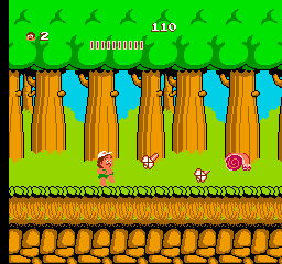 Takahashi Meijin no Bouken Jima