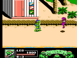 Teenage Mutant Ninja Turtles II - The Manhattan Project