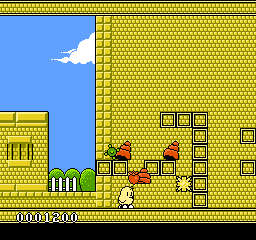 New Zealand Story, The