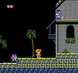 Adventures in the Magic Kingdom