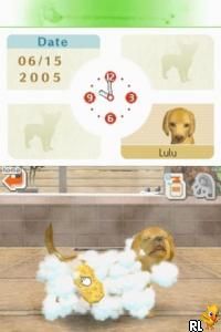 Nintendogs - Chihuahua & Friends