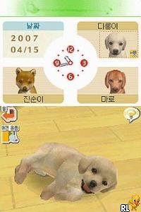Nintendogs - Labrador & Chingudeul