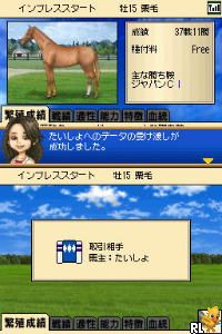 Banushi Life Game - Winner's Circle