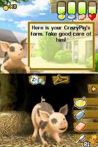 Crazy Pig