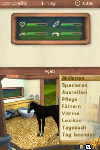 Pferd & Pony - Best Friends - Mein Pferd