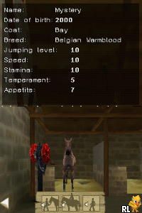 Real Adventures - Wild Horses - The Quest for the Golden Horse