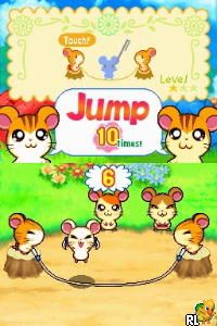 Hi! Hamtaro - Ham-Ham Challenge