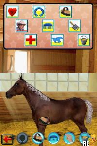 Pferd & Pony - Mein Westernpferd