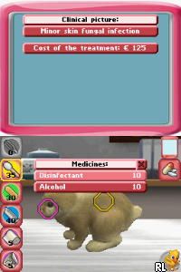 My Vet Practice - In the Country