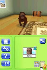 Petz - My Monkey Family