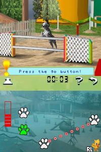 Discovery Kids - Puppy Playtime