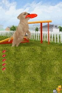 Petz - Dogz Talent Show