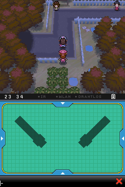 Pokemon - Schwarze Edition