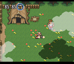 BS Marvelous Camp Arnold Course - Dai-3-shuu