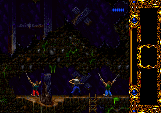Blackthorne (USA)