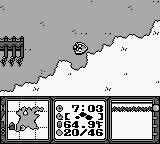 Super Black Bass (USA)