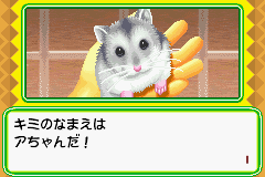 Nakayoshi Pet Advance Series 1 Kawaii Hamster (J)(Chakky)
