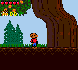 Berenstain Bears' Camping Adventure, The (USA)