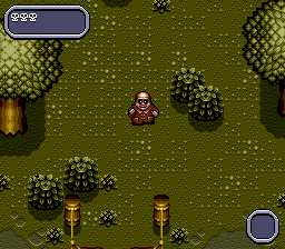 Addams Family Values (Europe) (En,Fr,De)