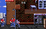 Ninja Gaiden (USA, Europe)