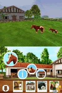 Discovery Kids - Pony Paradise (USA) (En,Fr,Es)