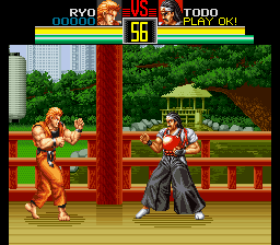 Art of Fighting (Europe)
