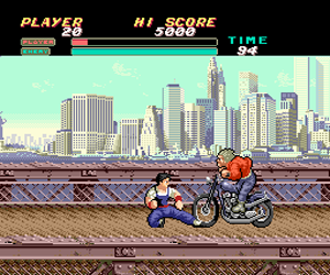 Vigilante (Japan)