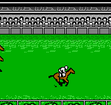 Neo Derby Champ Daiyosou